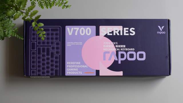 700 DIY-98键盘不后悔开元棋牌这么劲、那么美选雷柏V(图25)