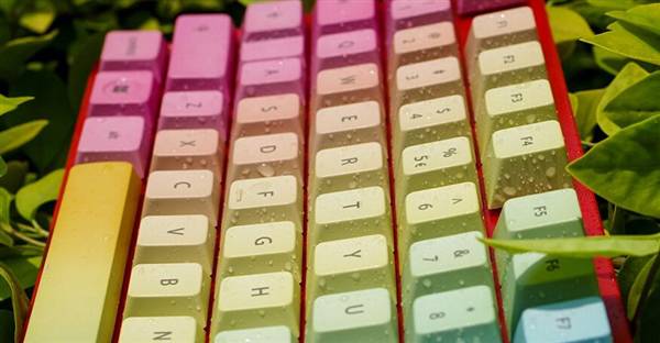 看：机械键盘入门手册开元棋牌试玩菜鸟必(图2)